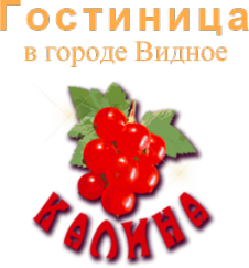 Логотип компании КАЛИНА