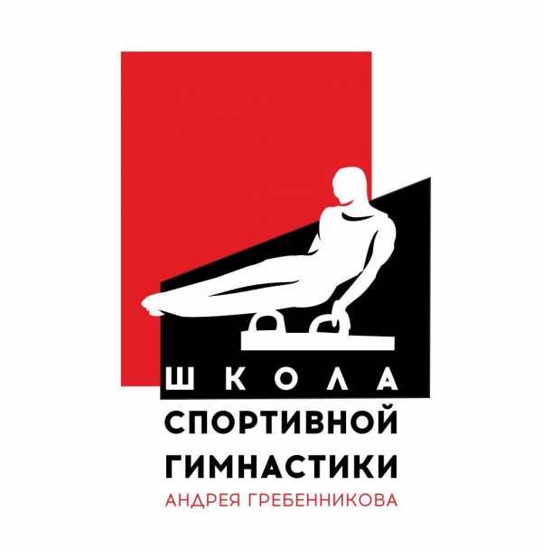 Логотип компании Школа Спортивной Гимнастики Андрея Гребенникова
